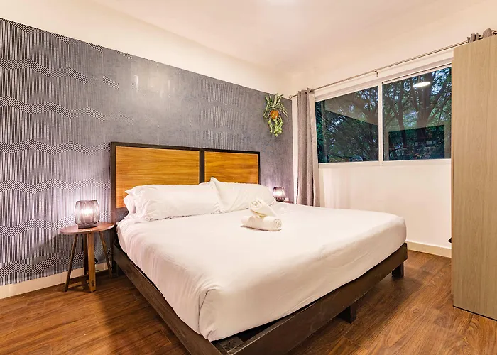 Condesa Zamora Lofts By Vh Città del Messico